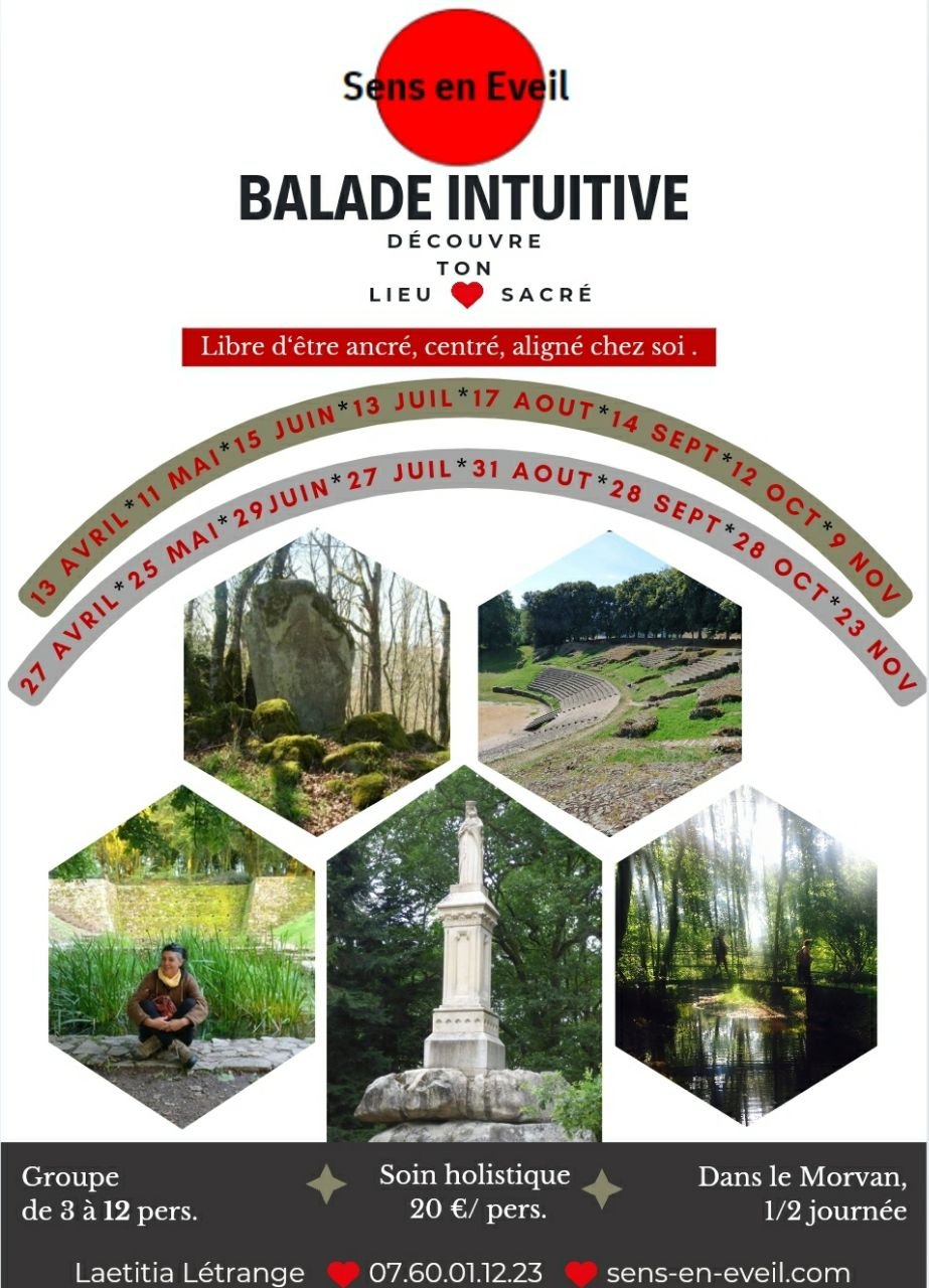 Atelier géobiologie holistique